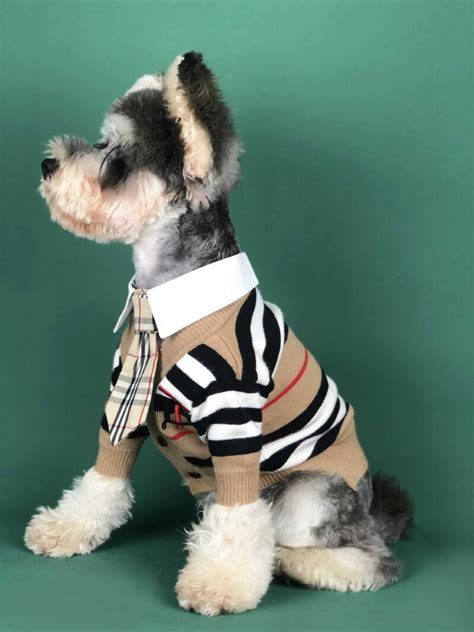 designer inspired pet apparel